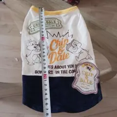 Item thumbnail for item e0142195-2f6f-4d2f-bace-048e1e5cae20