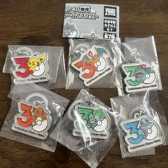ポケモン メタルチャームマスコット　めじるしアクセサリー　ピカチュウ　リザードン