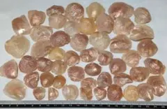 貝がら　ナミマガシワ