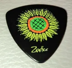 2026年最新】ピック hide withの人気アイテム - メルカリ