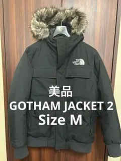 【美品】ノースフェイス ダウン ゴッサムジャケット2 アンタークティカパーカ黒M