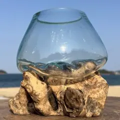 流木ガラス オブジェXSN バリ島 花瓶 金魚鉢 メダカ水槽 テラリウム アート