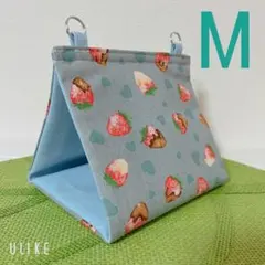 バードテント　春夏用Mサイズ　【チョコがけいちご】のサムネイル
