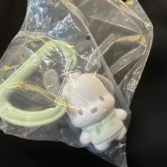 ポチャッコ サンリオ カラフルカラビナマスコットチャーム　ガチャ　ハローキティ