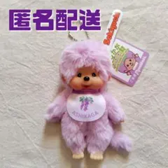 2025年最新】モンチッチ北海道限定の人気アイテム - メルカリ