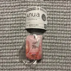 anuaアヌアミニチュアチャーム