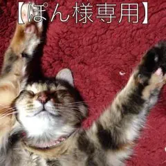 【ぽん様専用】☆新品・未使用☆今治フェイスタオル ２枚組☆白・ホワイト☆