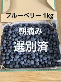 ブルーベリー1.0kg 大粒 化粧箱入り - メルカリ