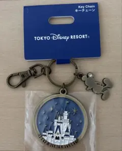 도쿄 디즈니 리조트 신데렐라 성 키체인