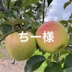 ちー様専用ページ✨4kg