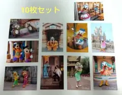 ディズニーランド　写真　スペシャルフォトセット　10枚