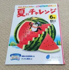 チャレンジ6年生