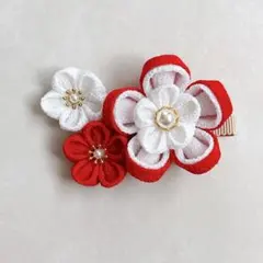 Item thumbnail for item 73d3bedb-c29a-4a88-adca-508d80a5e959