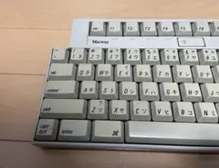 Item thumbnail for item 76246f79-52dd-4d73-b582-e92b785dd647