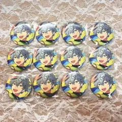 瀬名泉 イベコレ 缶バッジ 12点