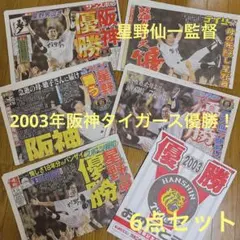 阪神⭐️2003タイガース優勝⭐️スポーツ新聞５紙＋袋⭐️６点セット⭐️星野⭐️美品⭐️レアのサムネイル