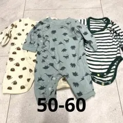 ロンパース 50-60 ストライプ 恐竜柄 ユニクロ テディベア