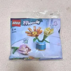 LEGO Friends 30634