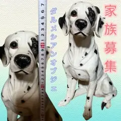 Item thumbnail for item fe6c9382-901c-4cd5-8eb0-52e7777727f8