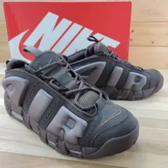 Item thumbnail for item 13ef3cbe-cbcc-401e-b0a7-bbe8742951a5