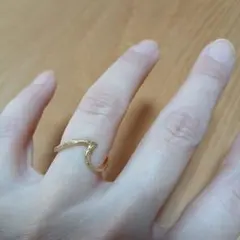 AJ様 リクエスト 2点 まとめ商品