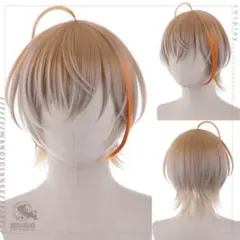 にじさんじ 風楽奏斗 ふうらかなと ウィッグ コスプレ - メルカリ