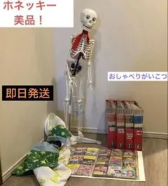 2026年最新】DeAGOSTINI 模型 人体模型の人気アイテム - メルカリ