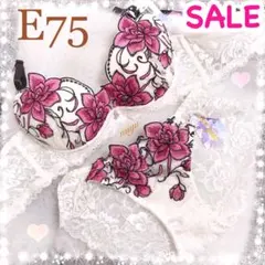 Item thumbnail for item d3a581c2-2b34-4c95-be59-5e4f24909bd6