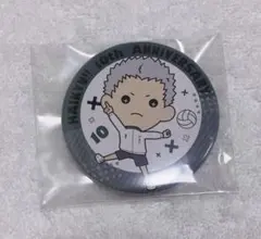 【最終値下げ】ハイキュー!! 青根高伸 缶バッジ