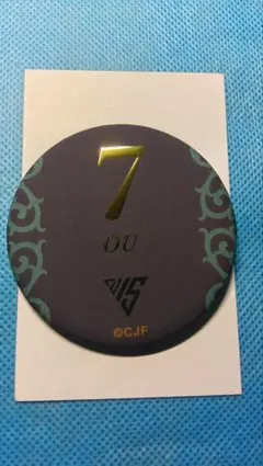 Item thumbnail for item 97981c55-cc90-460b-9a8a-f45b9085f954