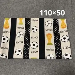 Item thumbnail for item 52cce5aa-5e65-49b9-ba2b-501398e712ae