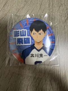 影山飛雄 缶バッジ 思い出シャイニー