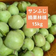 期間限定価格　摘果りんご　加工用サンふじ林檎　約15キロ 送料込み 27のサムネイル