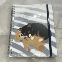 Item thumbnail for item 4efd9804-ca76-4323-8c4f-1486a617587d