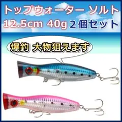 ルアー トップウォーター ソルト ポッパー シーバス ２個セット