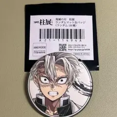 鬼滅の刃 柱展 マット缶バッジ 不死川実弥