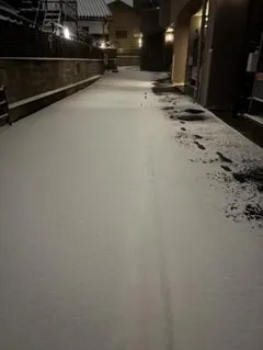 【かずのこ様ご購入用】長袖シャツ