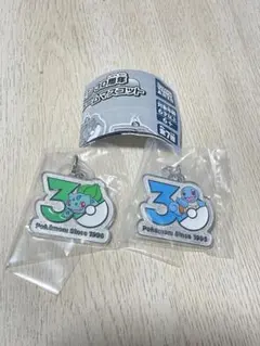 ポケモン　30周年　メタルチャームマスコット