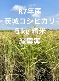 R7年産 茨城県央コシヒカリ５kg精米のサムネイル