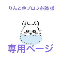 りんご＠プロフ必読 様 専用ページ