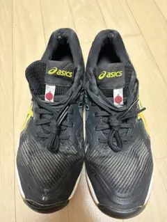 25.5cm ASICS バレーボールシューズ 黒/紫 ローテジャパン - メルカリ