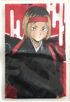 ハイキュー 応援団 孤爪研磨 音駒高校