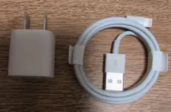 Apple USB電源アダプタ A1385 + Lightningケーブル
