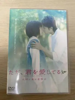 ただ、君を愛してる DVD