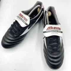 Item thumbnail for item cbb67983-c94d-437a-b71d-4e989a59dc24