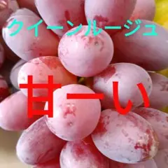 ㉑【訳あり予約】長野県産セブン約2kg【メルカリ便】シャイン