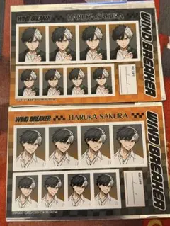 WINDBREAKER 証明写真【桜遥】