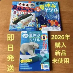 夏休みドリル　Z会　くもん　学研　5年生　算数 国語 理科 社会 英語のサムネイル