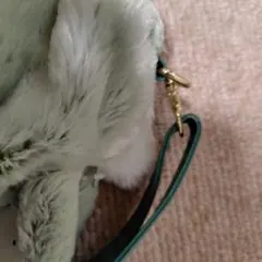 さくら様確認よう