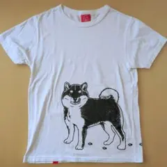 ゆきだるま様　OJICO　オジコ　半袖Tシャツ「犬も歩けば棒にあたり」　Mのサムネイル
